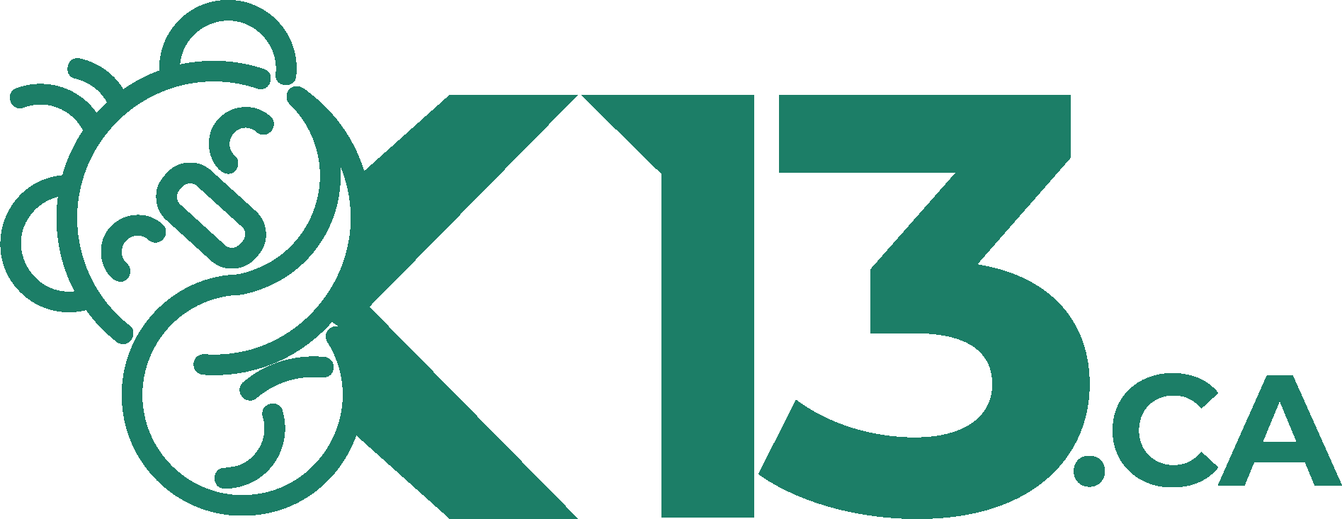 K13